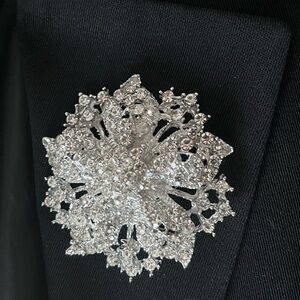 Fashion Trend 2024-2025.  Elegant Rhinestone Large Brooch